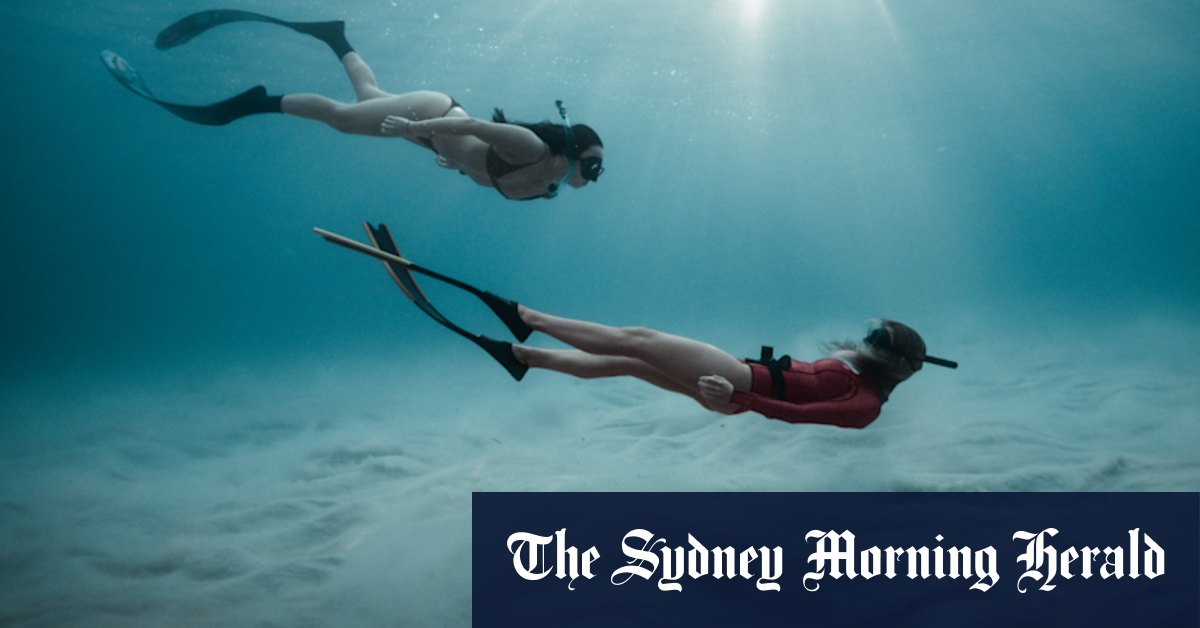 The rise of freediving in Australia - Vimarsana News