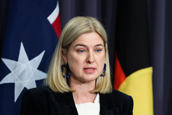 Minister for Agriculture, Fisheries and Forestry Julie Collins speaking at Parliament House, Canberra, on Tuesday mor...