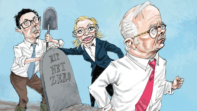 You thought climate was a Coalition problem, but Albanese may rue his enemy’s low ebb