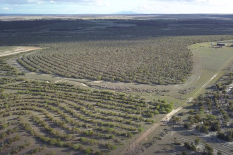 A CO2-compensating revegetation project on the Peniup property in Western Australia.