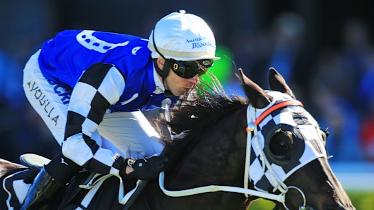Our Candidate winning at Randwick under Brenton Avdulla in 2019.