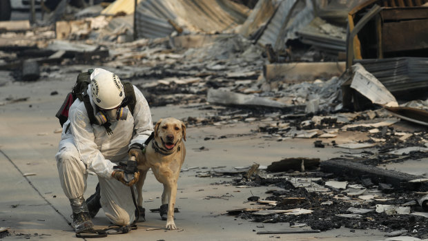 A search and rescue worker tends to his dog while searching for human remains in Paradise, California.