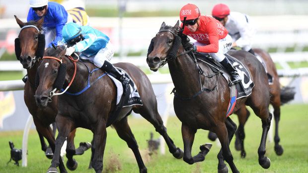 Getting her toe in: Moss Trip storms down the outside to win the James Carr Stakes at Randwick last year.