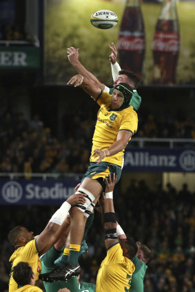 Coleman competes in the lineout in Australia's 20-16 loss to Ireland