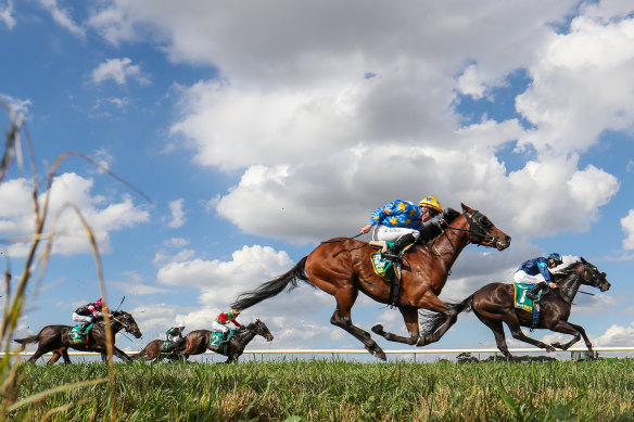 Luckless five-year-old Openhimup in race three can finally break through ridden a little closer.