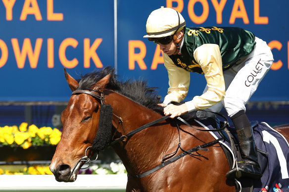 Strait Acer will look to give Edward Cummings his first Provincial-Midway Championship at Randwick on Saturday.