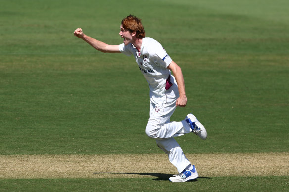 Callum Vidler celebrates his first wicket as a Queensland Bull.