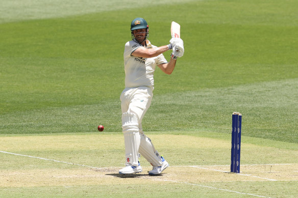 Mitch Marsh hits out.