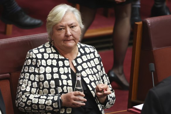 Coalition senator Sam McMahon during her valedictory speech on Wednesday.