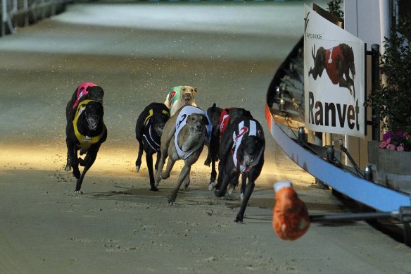 Dapto Dogs will cease operating immediately.