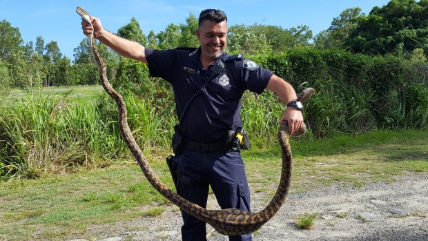 The python was caught at the crime scene but was released without charge due to a lack of co-operation from potential witnesses.