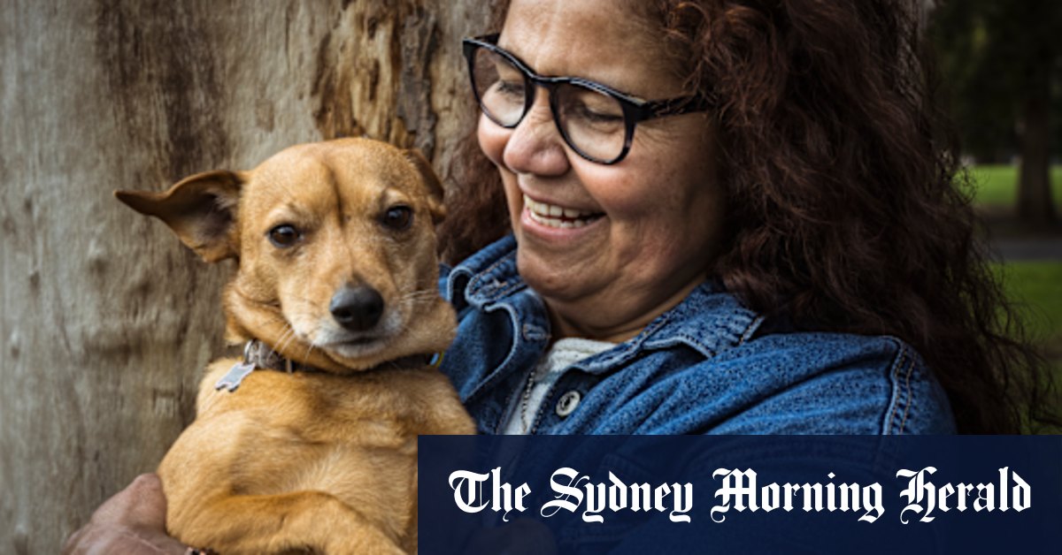 Pooch perfect: A dog’s journey from the outback to pampered city digs