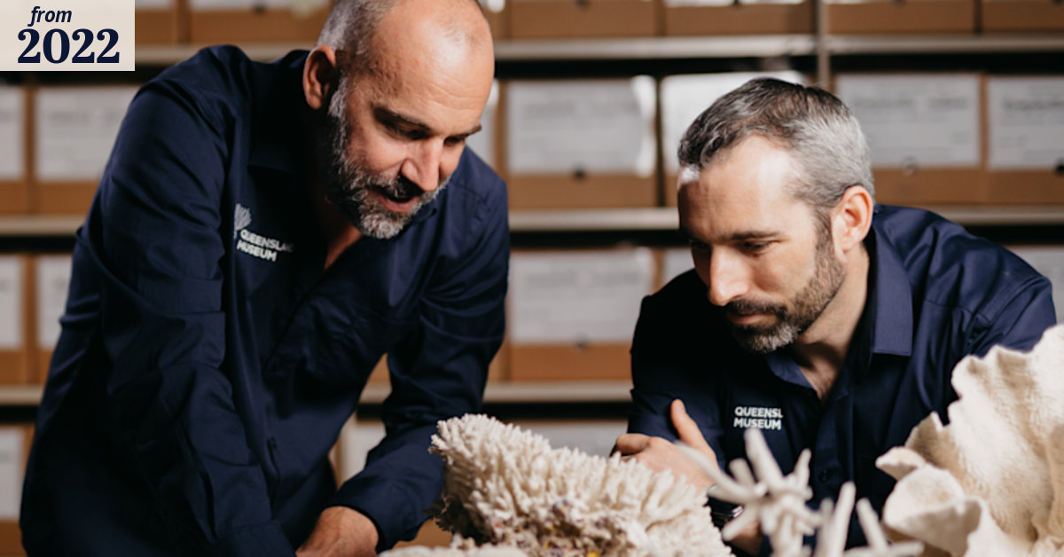 Great Barrier Reef researchers breaking coral codes to help save it
