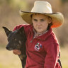 Ernie, 7, reads sheep better than most kids his age can read books