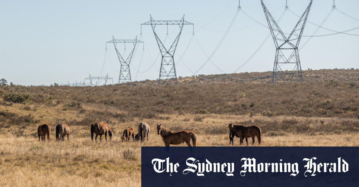 How Barilaro’s Brumby Bill of 2018 is coming back to divide the NSW Coalition