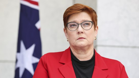 Former foreign minister Marise Payne is retiring from politics. 