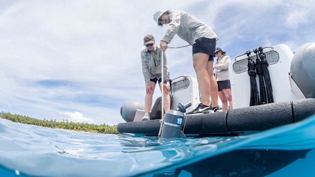 Scientists have mapped the DNA of Australia’s oceans. Their findings surprised even them. 