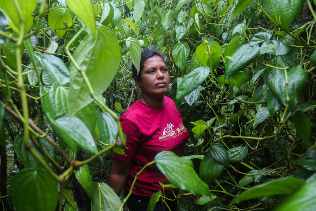 Farmer Nimali Atukorale had to abandon land she had leased after the fertiliser ban.