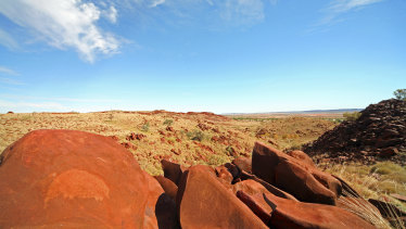An echidna rock engraving in the Burrup. 