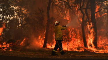 Firefighters try to contain a blaze near Kulnura, on the Central Coast, in December 2019.