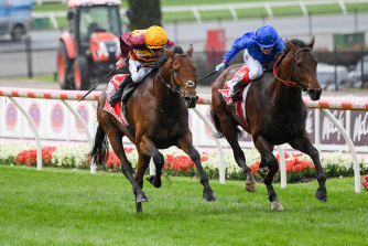 State of Rest (left) and Anamoe.