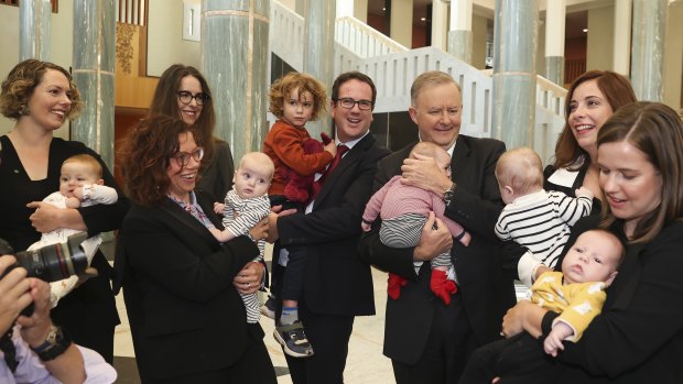 Opposition Leader Anthony Albanese with Labor MPs Alicia Payne, Amanda Rishworth, Matt Keogh, Anika Wells and Kate Thwaites and their new babies.
