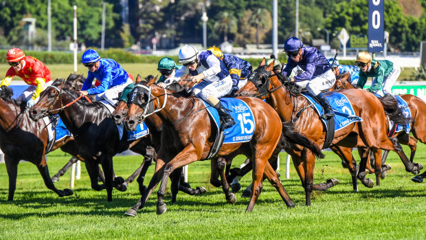 Storming home: Damian Lane steers El Dorado Dreaming to victory on the outside in the Inglis Sires.