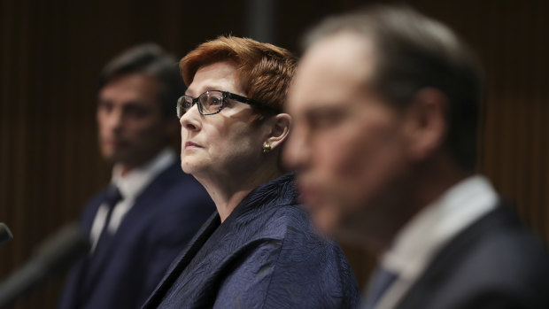 Minister for Foreign Affairs Marise Payne said the review will enable the international community to better prevent the next pandemic.