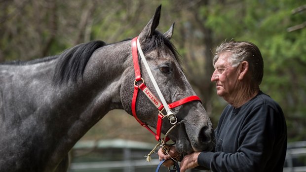 Trainer Les Bridge with his Everest contender Classique Legend.