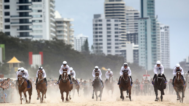 Horses gallop on Surfers Paradise Beach prior to the 2020 Magic Millions barrier draw. 