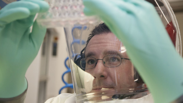 Scientists working in the secure area at CSIRO's Australian Animal Health Laboratory.