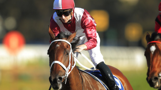 The big  money is starting to flow for Arcadia Queen  in The Everest.