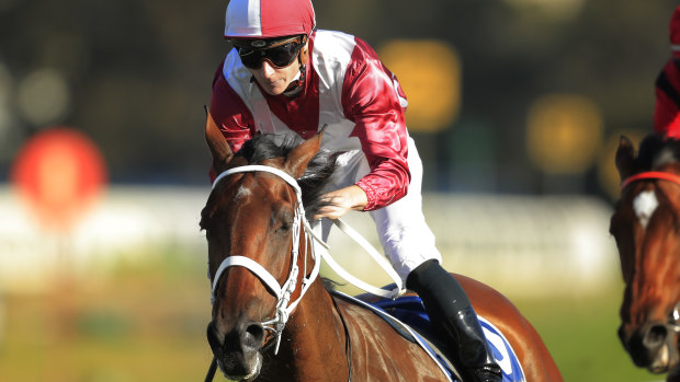 Arcadia Queen last favouritism for the Golden Eagle but James McDonald hasn't lost faith. 