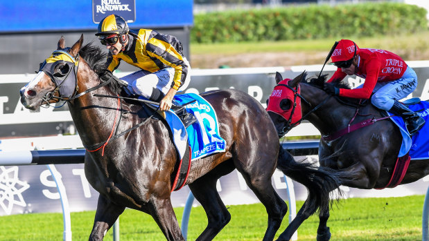 Hot property: Trapeze Artist, a son of Snitzel, shoots clear in the group 1 TJ Smith Stakes.