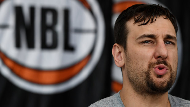 Main man: Andrew Bogut has instantly become the NBL's most famous face.