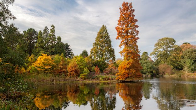 Autumn in Kew Gardens in London.