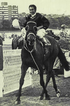 Darby McCarthy returns to the enclosure after riding Divide And Rule to victory in the 1969 AJC Derby.