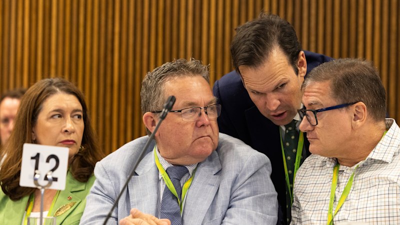 The Liberals seem stuck in an ideological straitjacket on net zero