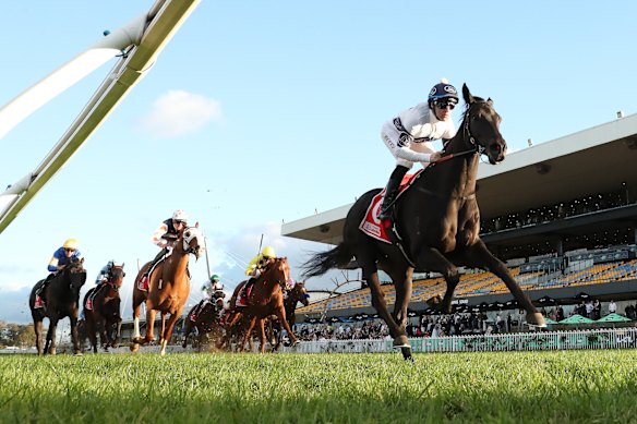 Midnight Dynamite dominates the Winter Challenge at Rosehill on Saturday.