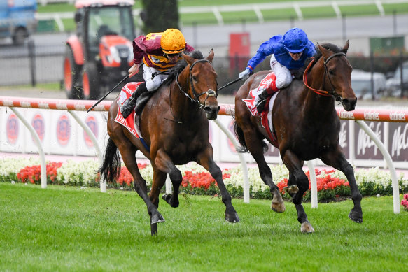 State of Rest (left) and Anamoe.