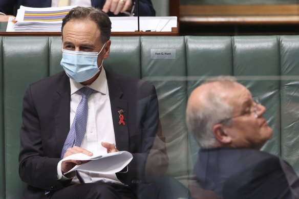 Federal Health Minister Greg Hunt in Parliament earlier this year. 