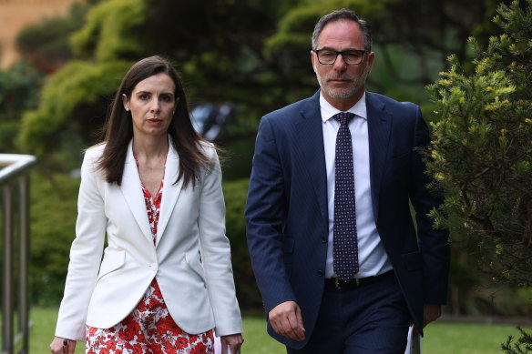 Finance Minister Courtney Houssos and Customer Service and Digital Government Minister Jihad Dib at Parliament House on Wednesday.