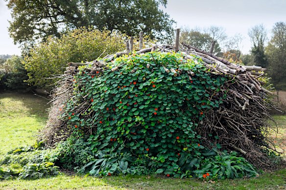 Prunings become beautiful habitat piles at Great Dixter.
