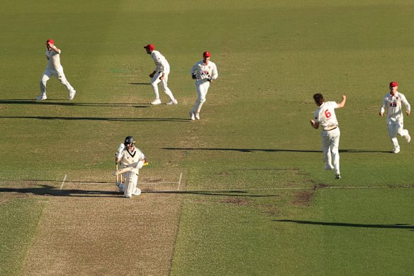 South Australia’s Liam Scott after taking the wicket of Marcus Harris.