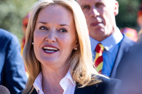 Natalie Ward has been appointed Minister for Domestic Violence Prevention.