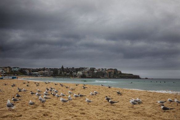 Clouds and rain hang over Bondi Beach on Thursday afternoon.