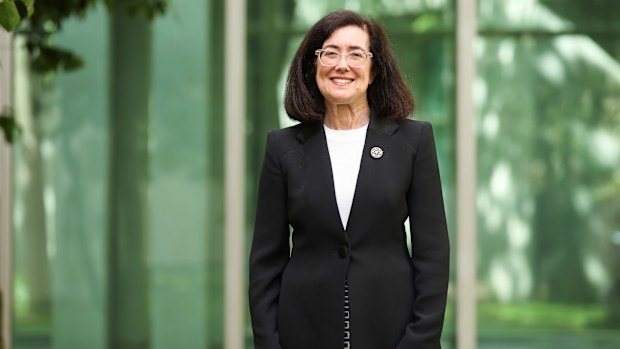 A gutsy lawyer with ‘extraordinary knowledge’: Meet the new ACCC boss