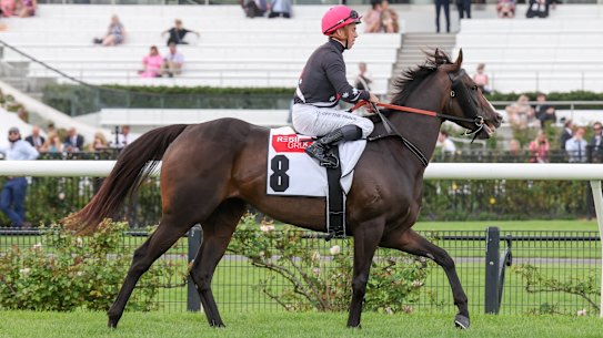 Florescent Star, pictured at Flemington earlier this month, was euthanised after a fall at Moonee Valley on Saturday.