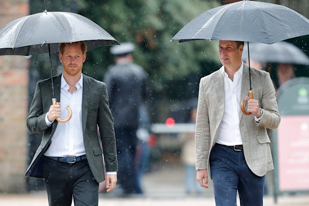 Prince William, Prince Harry