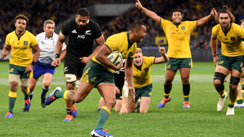 Wallabies rugby clearance